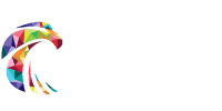 qondor logo 200x100_hvit